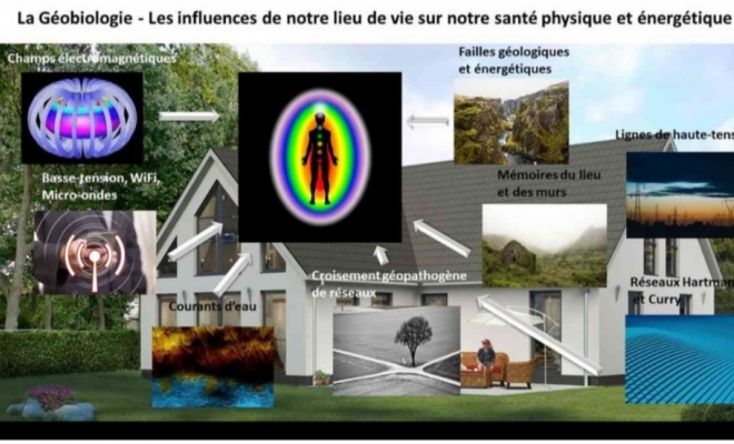 Nettoyage des lieux de vie géobiologie protection et purification de l'habitat , Saint-Pierre, Jérémy Magnétiseur et soins énergétiques